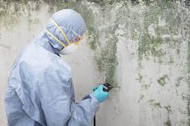 Mold Removal for HVAC Installations in Glen Ellen, CA